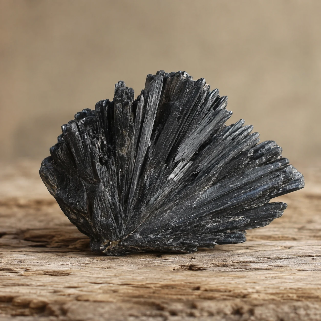 Pedra Cianita Negra